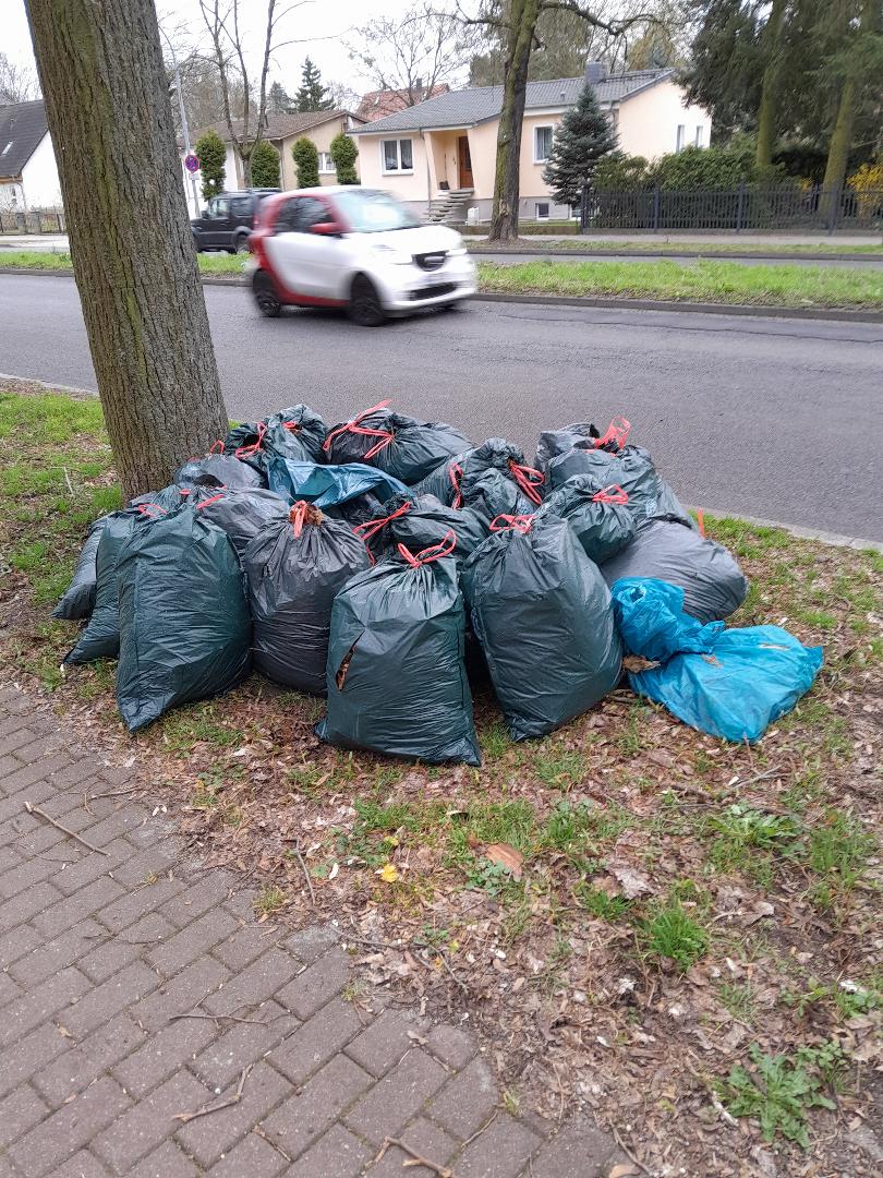 Frühjahrsputz im Waldstück Lichterfelder Allee in Teltow Seehof 